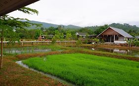 นอกชานมีนา